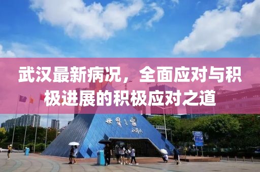 武汉最新病况，全面应对与积极进展的积极应对之道