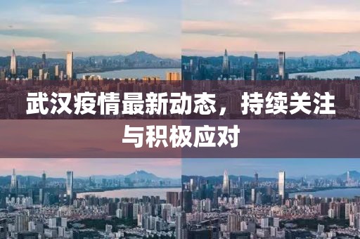 武汉疫情最新动态，持续关注与积极应对
