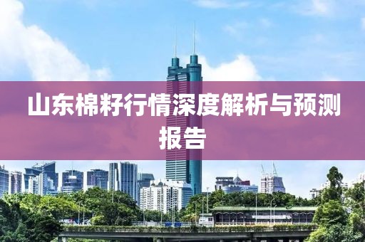 山东棉籽行情深度解析与预测报告