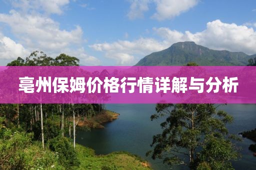 亳州保姆价格行情详解与分析