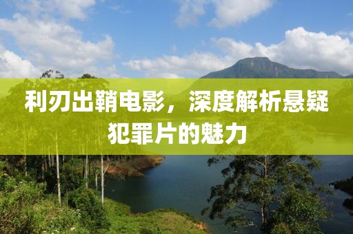 利刃出鞘电影，深度解析悬疑犯罪片的魅力