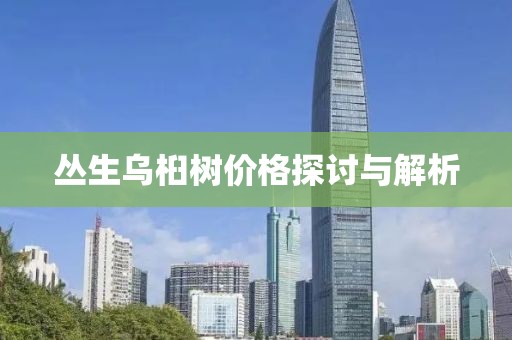 丛生乌桕树价格探讨与解析
