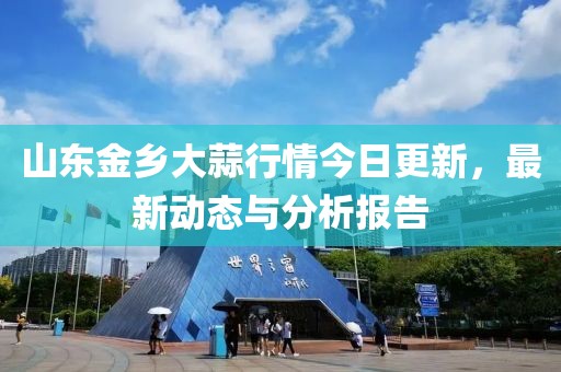 山东金乡大蒜行情今日更新，最新动态与分析报告