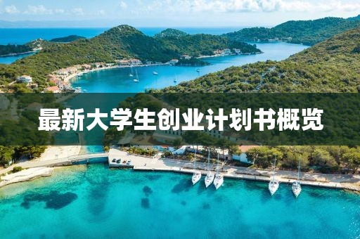 最新大学生创业计划书概览