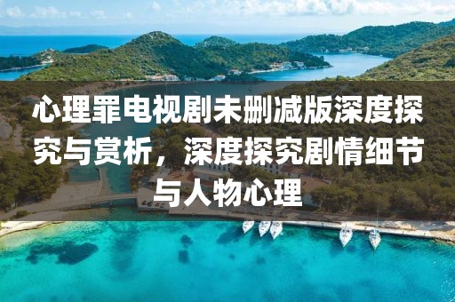 心理罪电视剧未删减版深度探究与赏析，深度探究剧情细节与人物心理