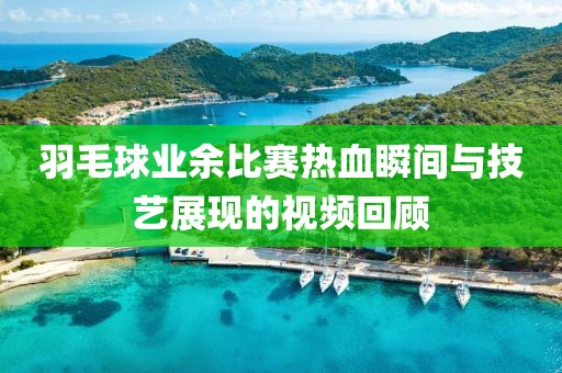 羽毛球业余比赛热血瞬间与技艺展现的视频回顾