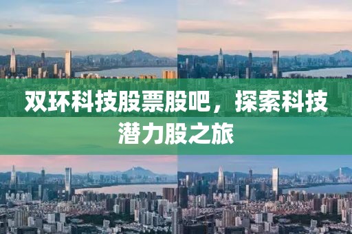 双环科技股票股吧，探索科技潜力股之旅