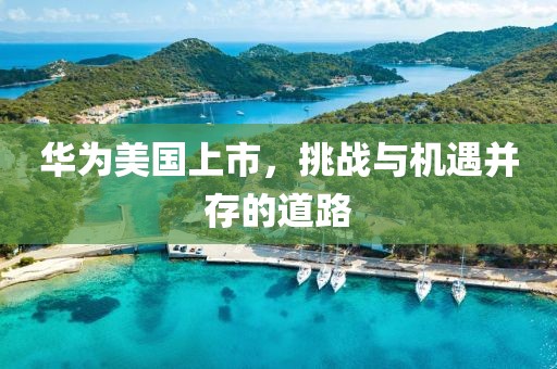 华为美国上市，挑战与机遇并存的道路