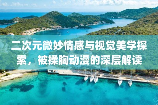 二次元微妙情感与视觉美学探索，被揉胸动漫的深层解读
