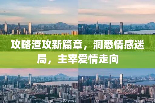 攻略渣攻新篇章，洞悉情感迷局，主宰爱情走向