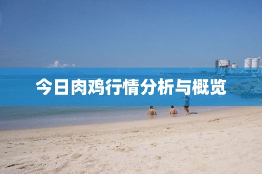 今日肉鸡行情分析与概览