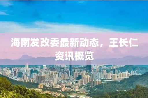 海南发改委最新动态，王长仁资讯概览