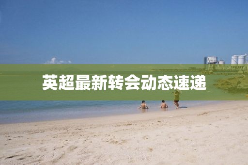 英超最新转会动态速递