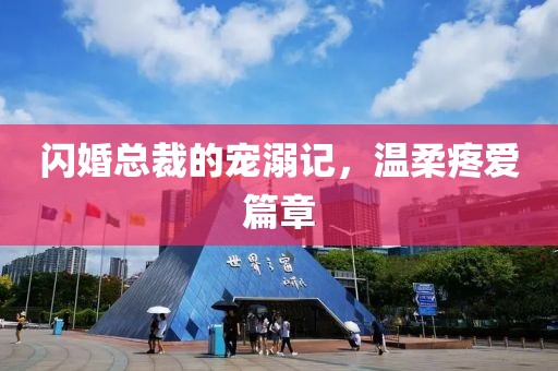 闪婚总裁的宠溺记，温柔疼爱篇章