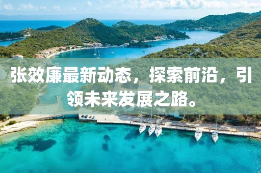 张效廉最新动态，探索前沿，引领未来发展之路。