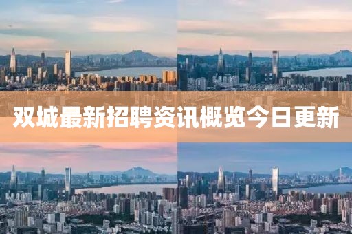 双城最新招聘资讯概览今日更新