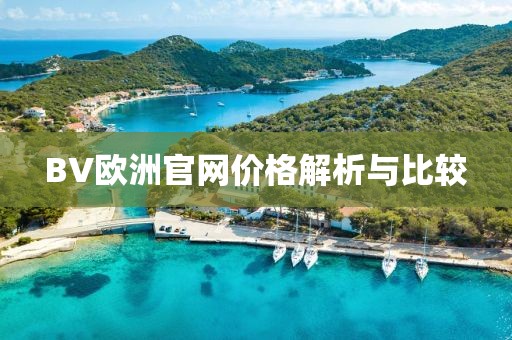 BV欧洲官网价格解析与比较