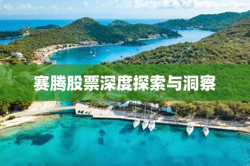赛腾股票深度探索与洞察