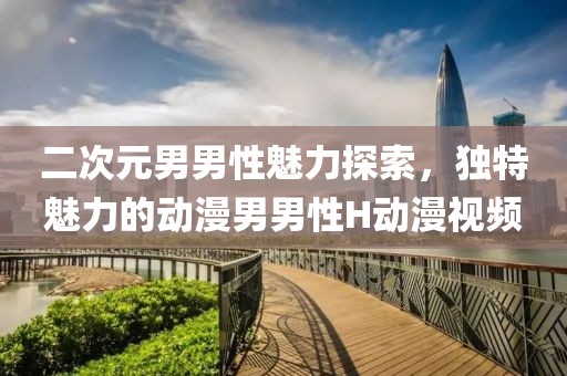 二次元男男性魅力探索，独特魅力的动漫男男性H动漫视频