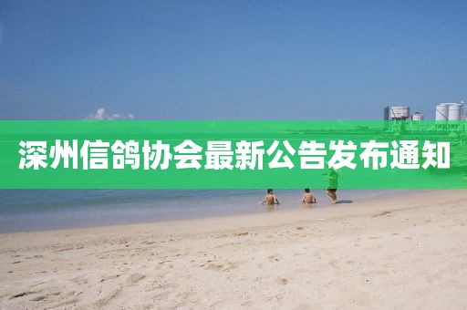 小晴日记 第9页