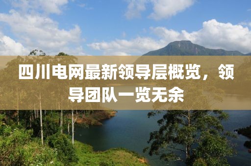 四川电网最新领导层概览，领导团队一览无余