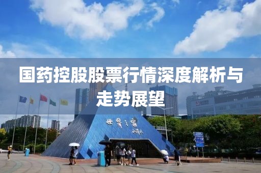 国药控股股票行情深度解析与走势展望