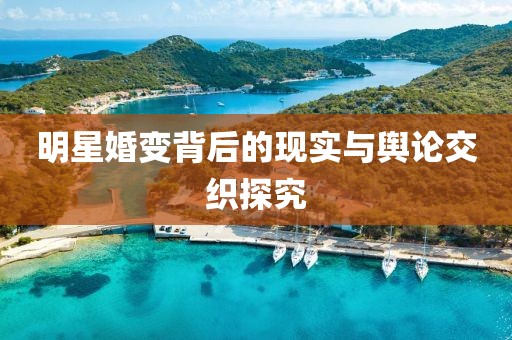 明星婚变背后的现实与舆论交织探究