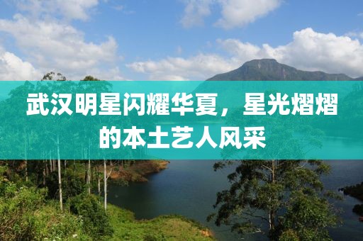 武汉明星闪耀华夏，星光熠熠的本土艺人风采