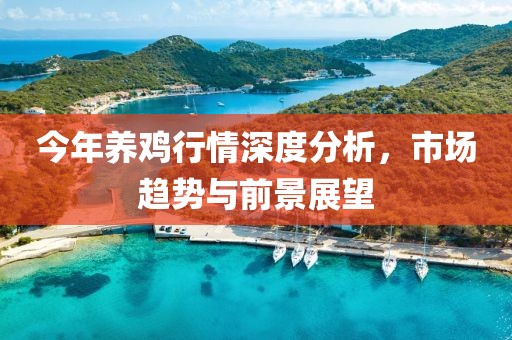今年养鸡行情深度分析，市场趋势与前景展望