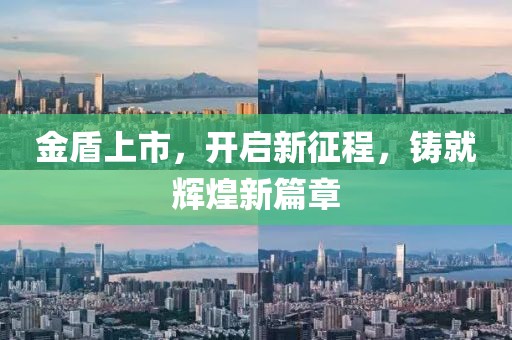 金盾上市，开启新征程，铸就辉煌新篇章