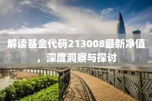 解读基金代码213008最新净值，深度洞察与探讨
