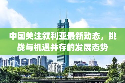中国关注叙利亚最新动态，挑战与机遇并存的发展态势