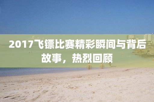 2017飞镖比赛精彩瞬间与背后故事，热烈回顾