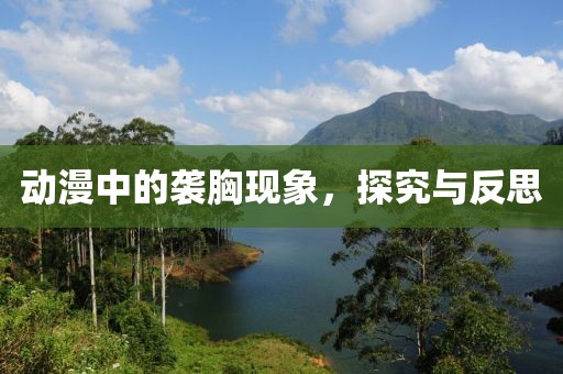 动漫中的袭胸现象，探究与反思