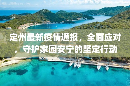 定州最新疫情通报，全面应对，守护家园安宁的坚定行动