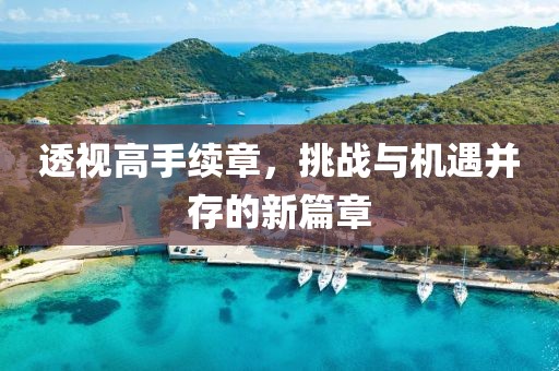 透视高手续章，挑战与机遇并存的新篇章