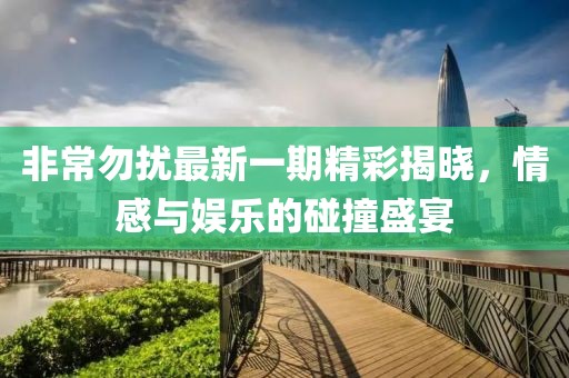 非常勿扰最新一期精彩揭晓，情感与娱乐的碰撞盛宴