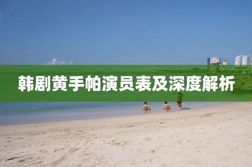 韩剧黄手帕演员表及深度解析