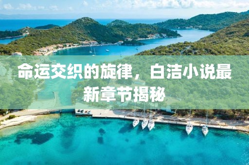 命运交织的旋律，白洁小说最新章节揭秘