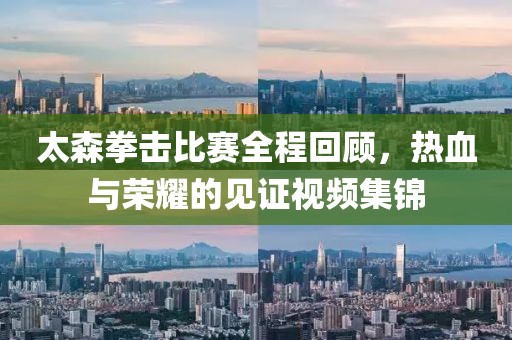 太森拳击比赛全程回顾，热血与荣耀的见证视频集锦