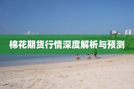 棉花期货行情深度解析与预测