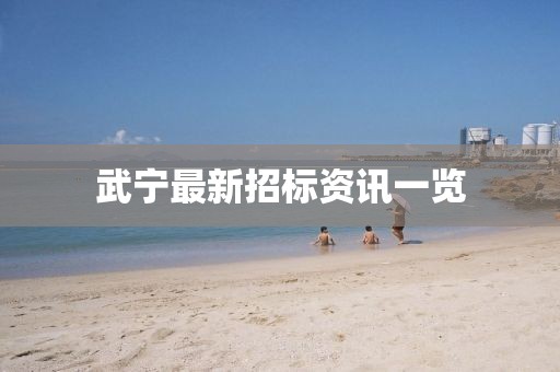 武宁最新招标资讯一览
