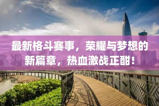 最新格斗赛事，荣耀与梦想的新篇章，热血激战正酣！