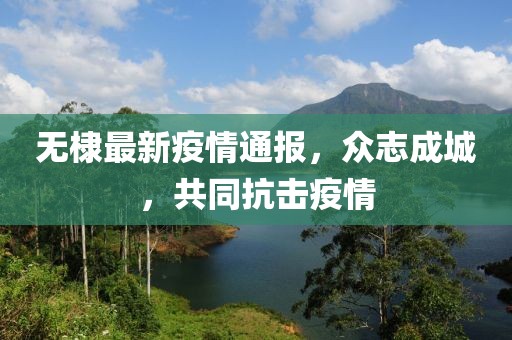 无棣最新疫情通报，众志成城，共同抗击疫情
