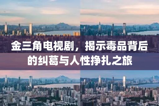 金三角电视剧，揭示毒品背后的纠葛与人性挣扎之旅