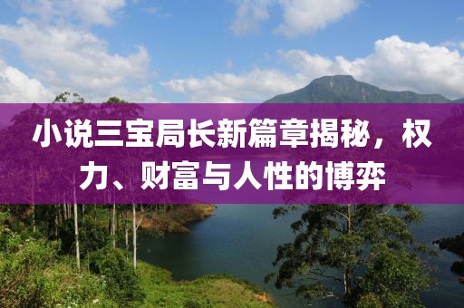 小说三宝局长新篇章揭秘，权力、财富与人性的博弈