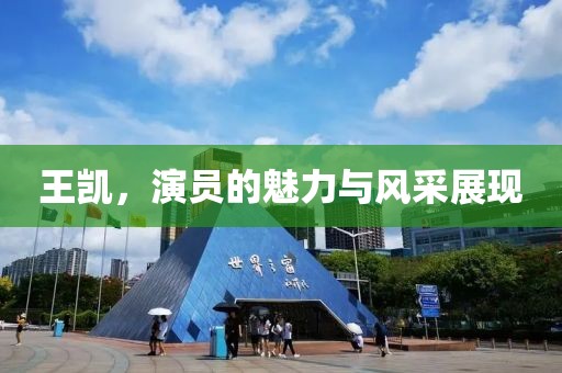 王凯，演员的魅力与风采展现