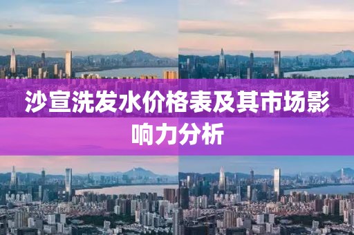 沙宣洗发水价格表及其市场影响力分析