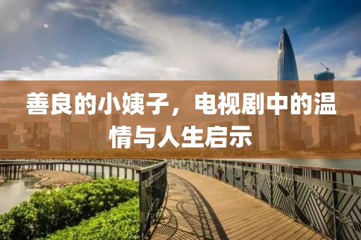 善良的小姨子，电视剧中的温情与人生启示