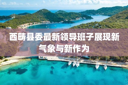 西畴县委最新领导班子展现新气象与新作为